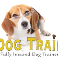 Gb sales dog training