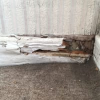 Decayed Skirting Board.