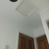 Customer's loft hatch was too small and access was difficult.