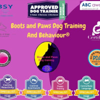 Boots and Paws Dog Training and Behaviour, Worksop | Dog Trainers - Yell