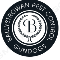 Ballystrowan Gundogs, Grangemouth | Dog Trainers - Yell