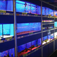 Aquamania Superstore Ltd, Blackburn | Aquarium & Pond Supplies - Yell