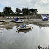 Image 27 of House & Home Sitters Ltd