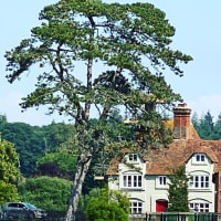 Image 13 of House & Home Sitters Ltd