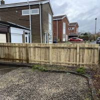 Image 6 of Tree Wise Men (NE) Ltd