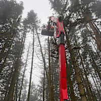 Image 26 of Tree Wise Men (NE) Ltd