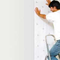 Image of Parrot Painting & Decorating