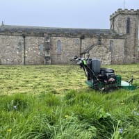 Image 13 of Tree Wise Men (NE) Ltd