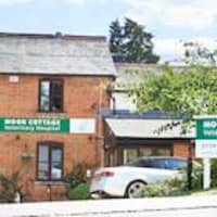 Moor Cottage Veterinary Hospital Bracknell Vets Yell