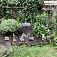 Image 13 of SJE Window Cleaning & Maintenance