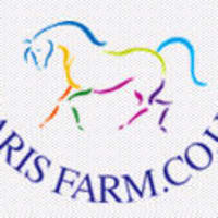 Laris Farm Equestrian, Woking | Riding Schools - Yell