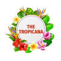 The Tropicana Birmingham, Birmingham | Bars & Wine Bars - Yell