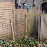 Image 48 of Trees R Us