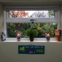 groomingdales by netty