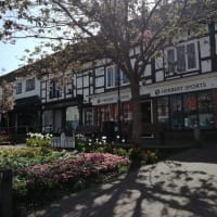 Image 2 of Herberts Sports