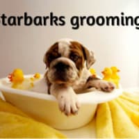 Starbarks dog outlet grooming