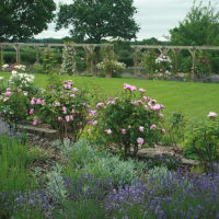 Juliet Sargeant Garden Designs, Polegate | Garden Designers - Yell