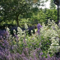 Acres Wild Landscape & Garden Design, Horsham | Garden Designers - Yell on Acres Wild Garden Design
 id=78010