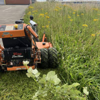 Image 11 of Tree Wise Men (NE) Ltd