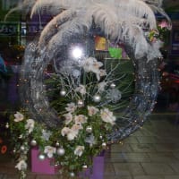 Image of Flowers at 166 Florists