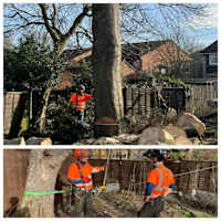 Image 39 of Tree Wise Men (NE) Ltd