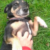 one of our Whaley Bridge clients