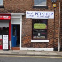 Royal Lodge Pet Shop Chester Pet Shops Yell