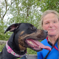 Image 11 of Four Paws Pet Services