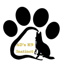 AD s K9 Instinct Dog Trainers Yell