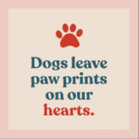 Image of D&gs doggy walking