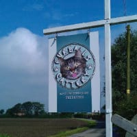 Tabitha welcomes you :-)