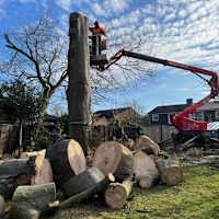 Image 40 of Tree Wise Men (NE) Ltd