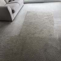 carpet cleaners ipswich qld