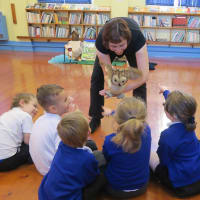 Puppets Plays & Story Days, Beverley | Educational Supplies - Yell