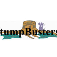 Image of StumpBusters Devon