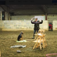 Image 6 of Canine Wild Walks