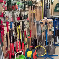 Image 11 of Brook's Basics