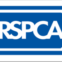 RSPCA Doncaster, Rotherham & District Branch - Bawtry Charity Shop ...