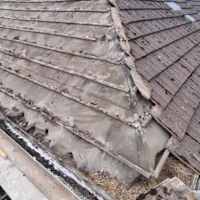 Image 59 of Pinnacle Roofing Specialists