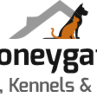 Stoneygate kennels hot sale