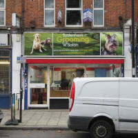 Pet Shops In Catford Reviews Yell