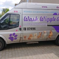 Scruffy to Fluffy Mobile Dog Grooming, Wednesbury | Dog & Cat Grooming ...