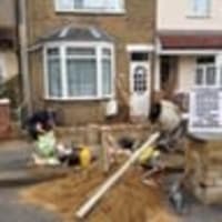 Image 14 of Special Branch Tree & Stump Removal