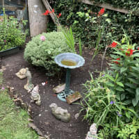 Image 16 of SJE Window Cleaning & Maintenance