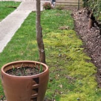 Image 28 of Akon Building Co