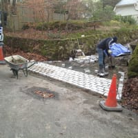 Image 30 of New Look Driveways S E Ltd