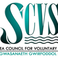 Swansea Council for Voluntary Service, Swansea | Charitable & Voluntary ...