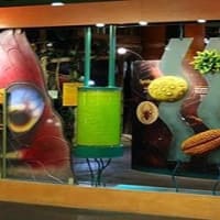 Conkers, Swadlincote | Tourist Attractions - Yell