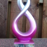 Enterprise Vision Award 2014 for Insight 2 Drive