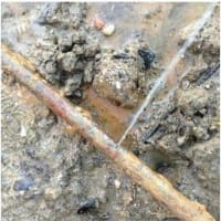 Image 19 of Blockbusters